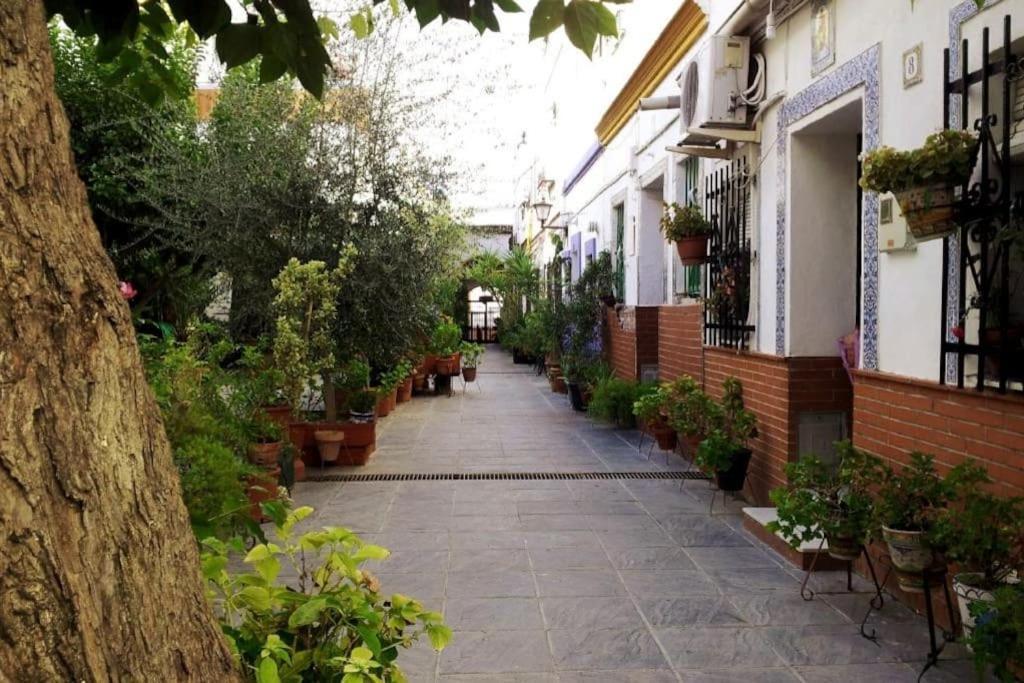 Tipico Y Pintoresco Patio De Vecinos, Con Encanto Sevilha Exterior foto