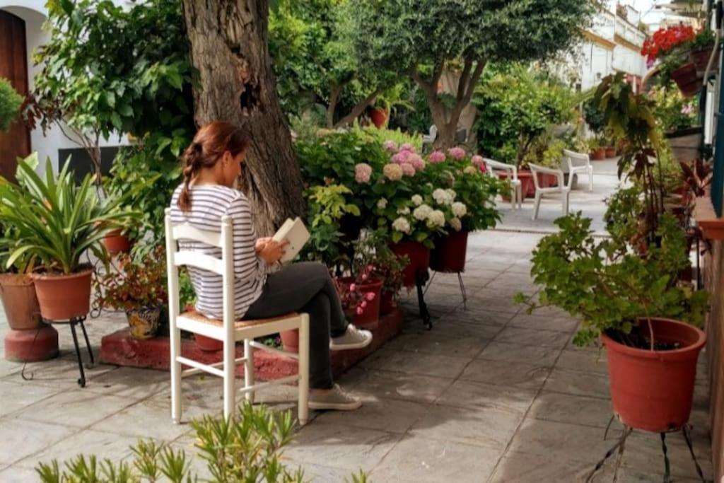 Tipico Y Pintoresco Patio De Vecinos, Con Encanto Sevilha Exterior foto